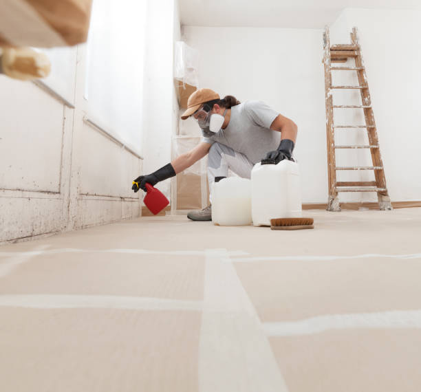 Best Mold Odor Removal Services  in Laguna Woods, CA